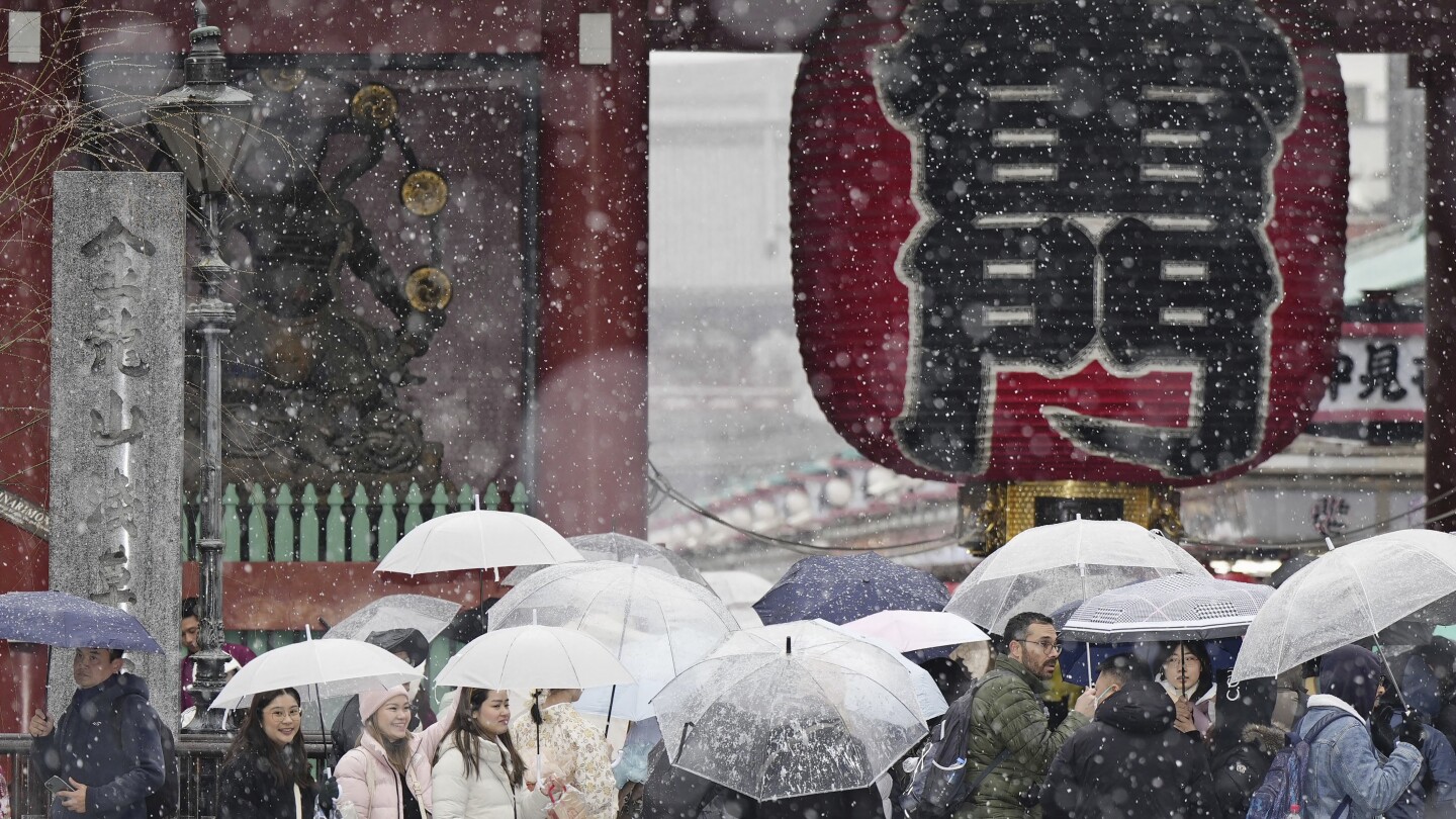 Heavy snow hits Tokyo area, halting trains and grounding more than 100 flights | AP News