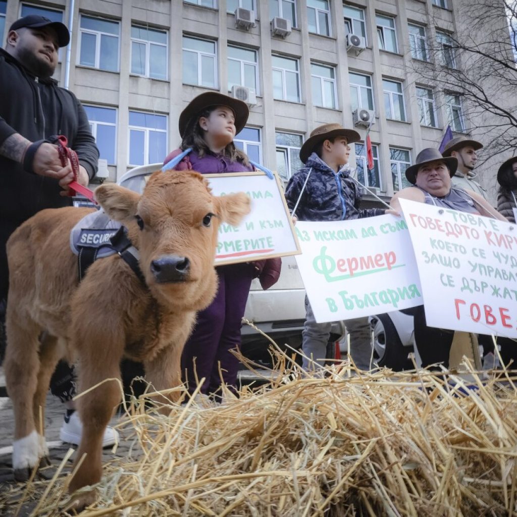 Bulgaria’s farmers are joining Europe-wide protests | AP News