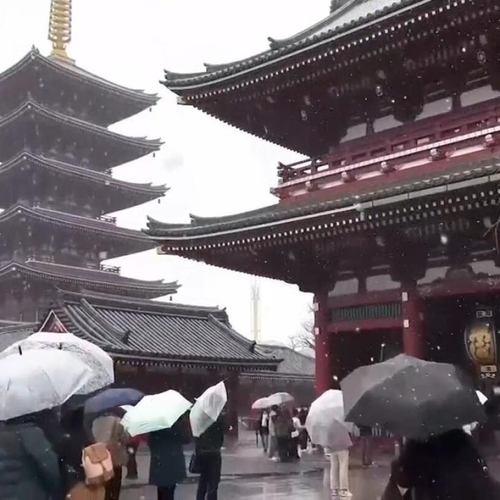 Snow falls in Tokyo’s traditional Asakusa district | AP News