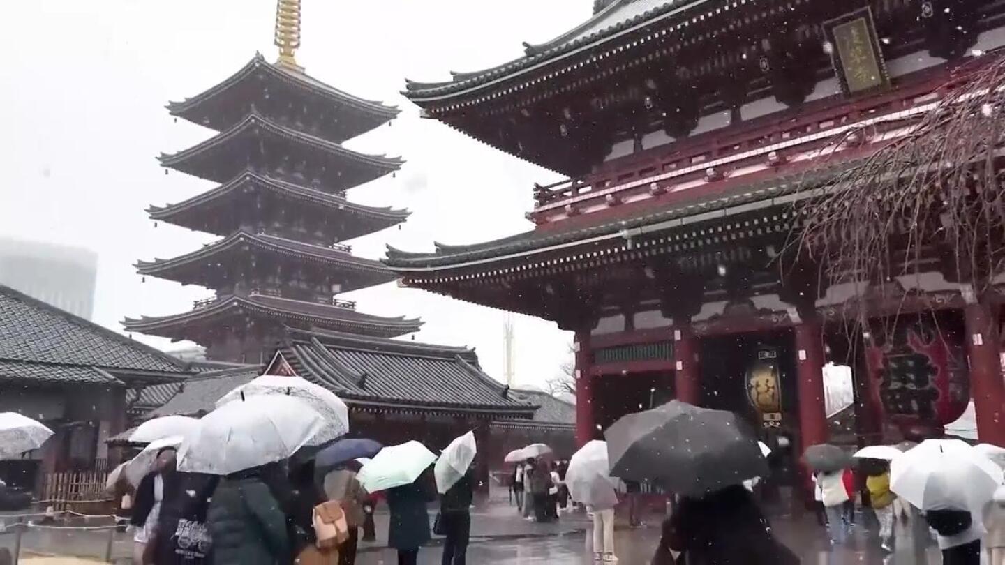 Snow falls in Tokyo’s traditional Asakusa district | AP News