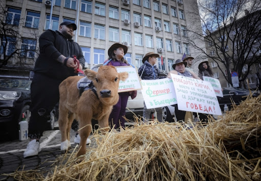 Bugarski poljoprivrednici se pridružili protestima farmera širom Evrope