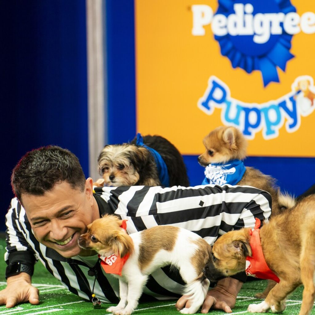 ‘Puppy Bowl’ celebrates a big anniversary this year, one that shelter and rescue pups will cheer