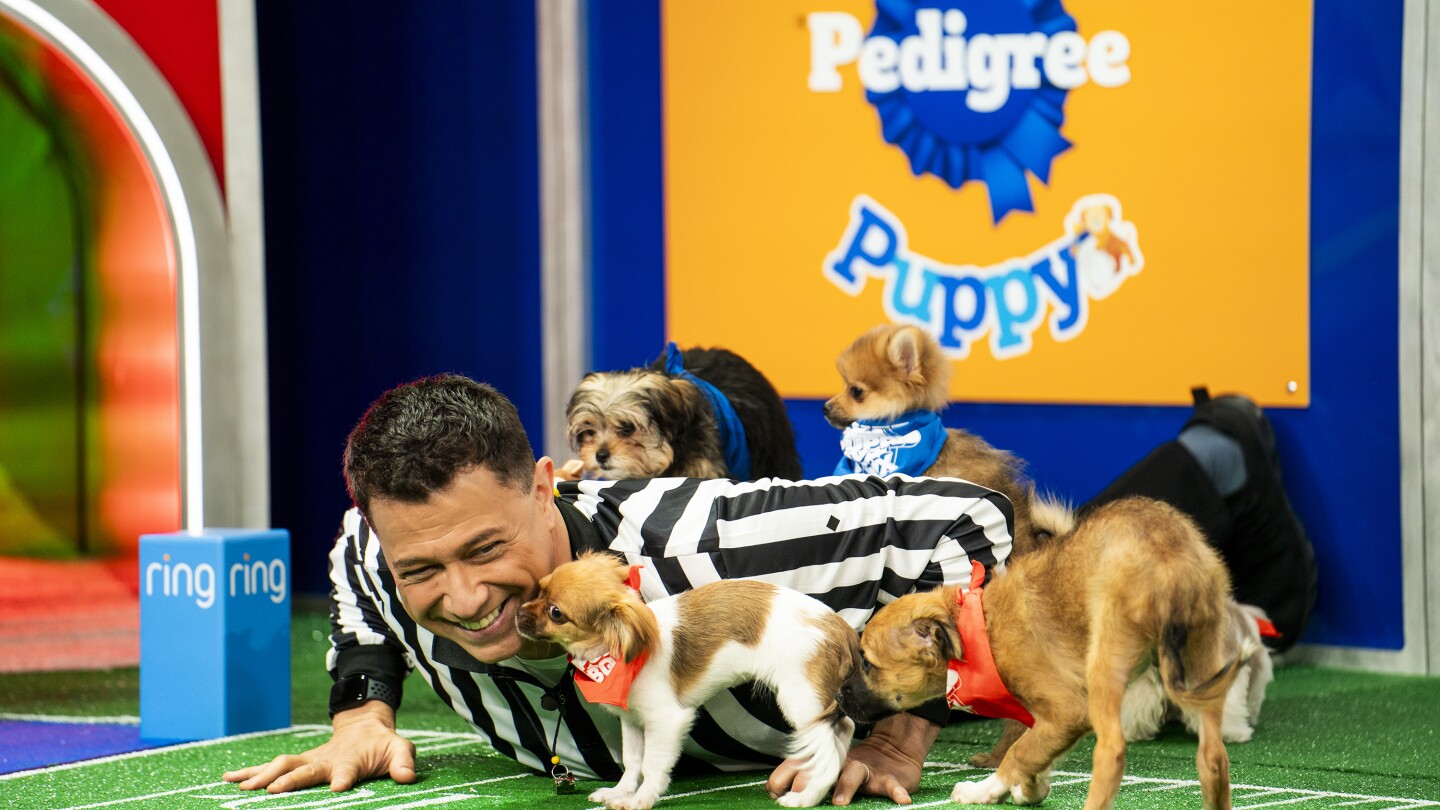 ‘Puppy Bowl’ celebrates a big anniversary this year, one that shelter and rescue pups will cheer