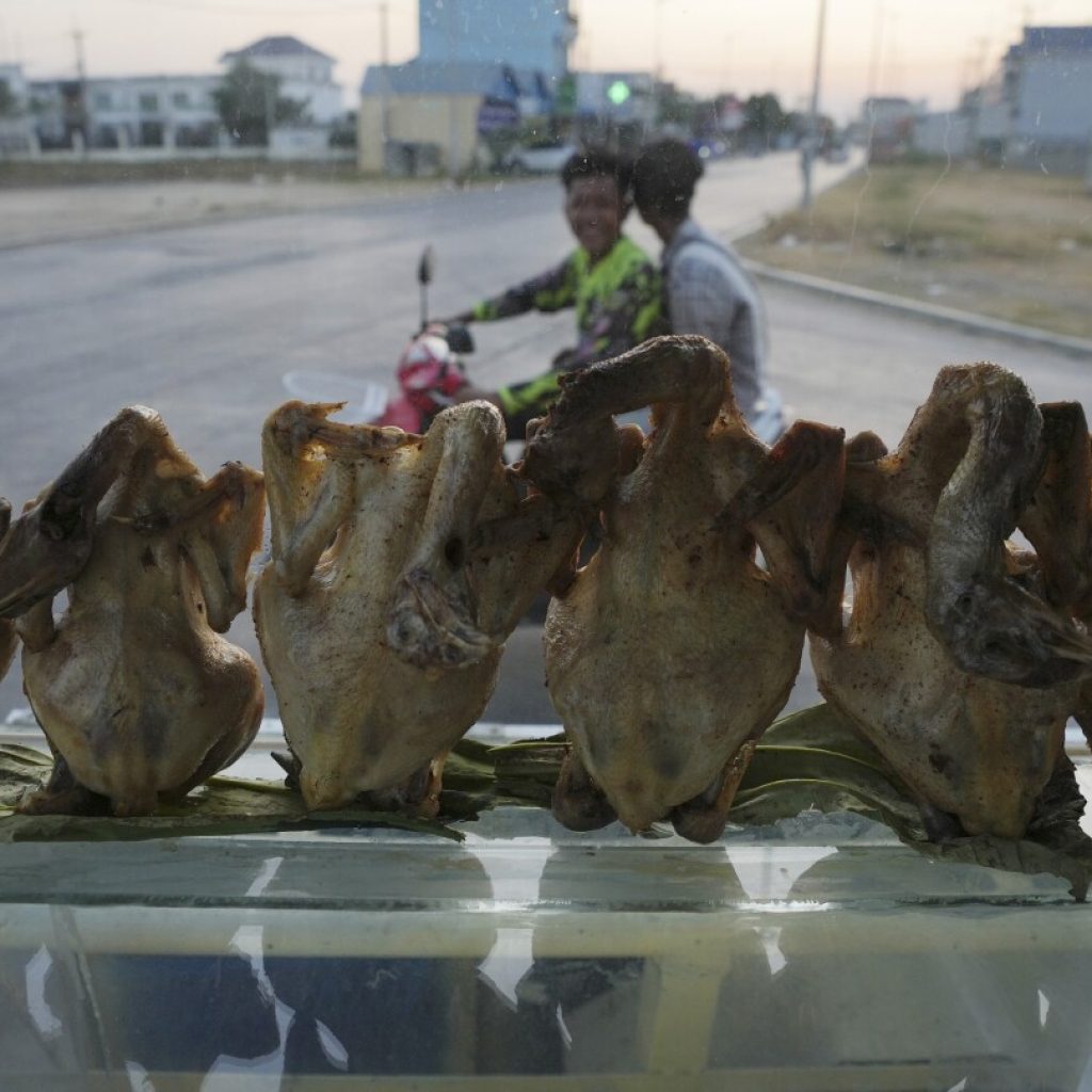 Cambodia reports a new bird flu case, the brother of a 9-year-old who died of the virus