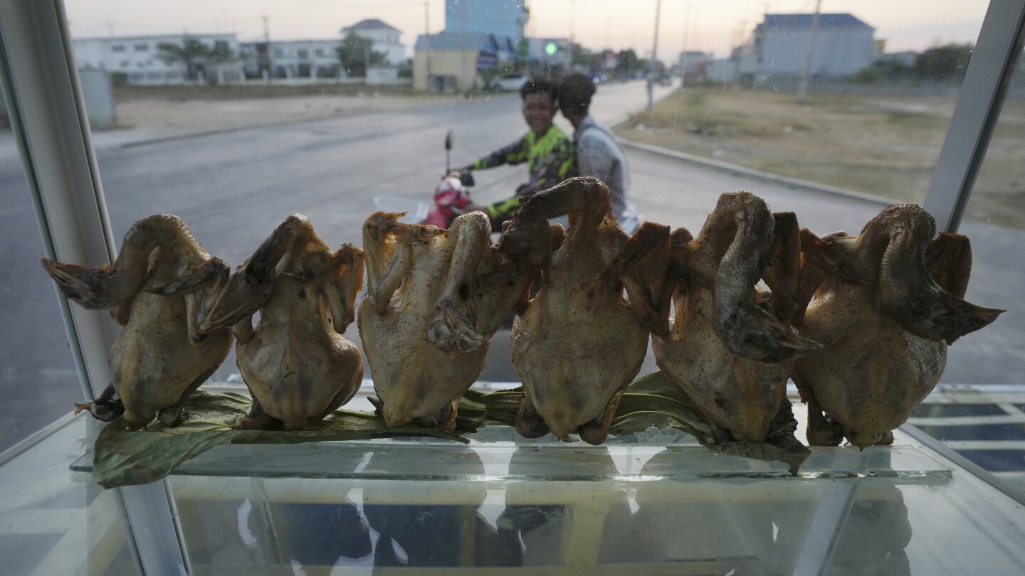 Cambodia reports a new bird flu case, the brother of a 9-year-old who died of the virus