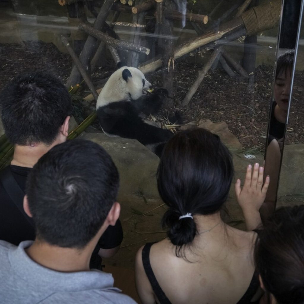 Here’s what happened to a man who broke a panda park’s strict dietary rules