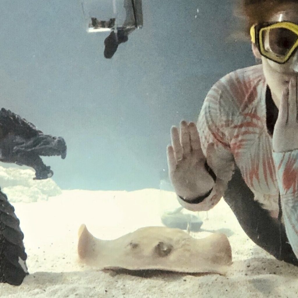 Charlotte, a stingray with no male companion, is pregnant in her mountain aquarium