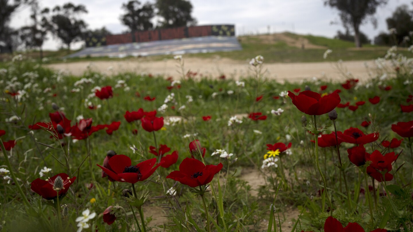 Southern Israel was filled with blood and death. Brilliant red wildflowers now bloom among the ashes