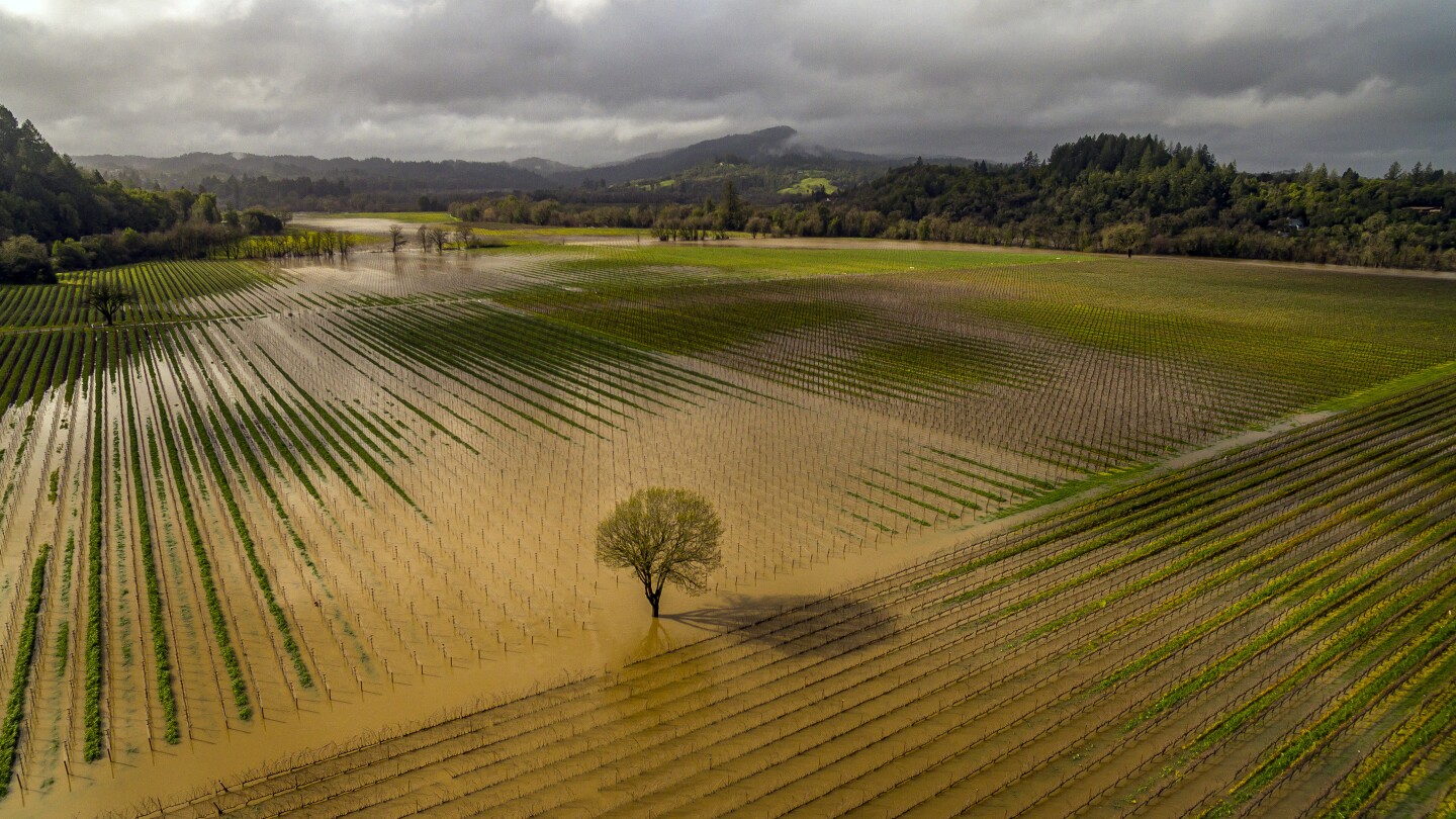 California’s rainy season is here. What does it mean for water supply?