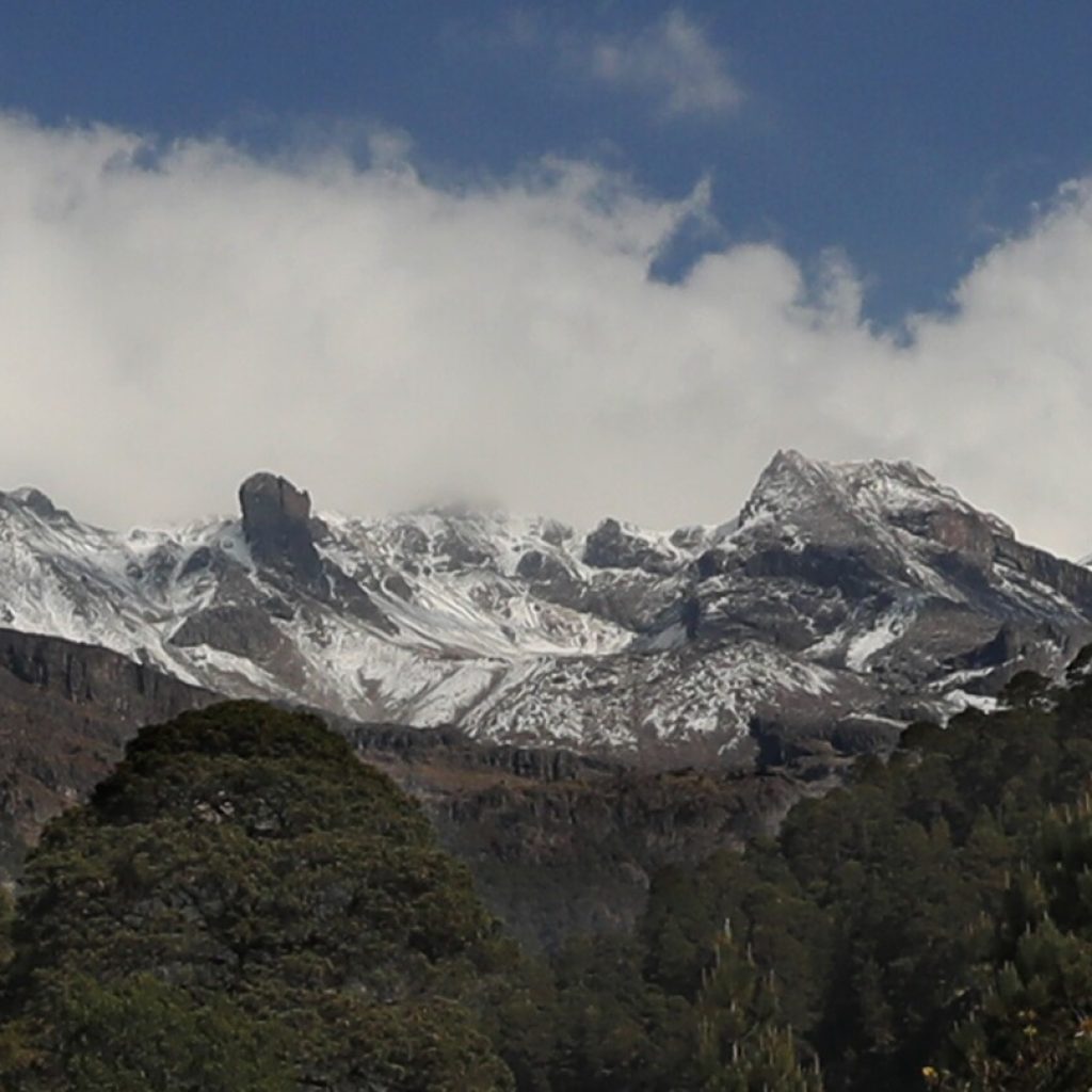 Suspected illegal loggers kill 3 forest rangers on patrol in a forest in central Mexico