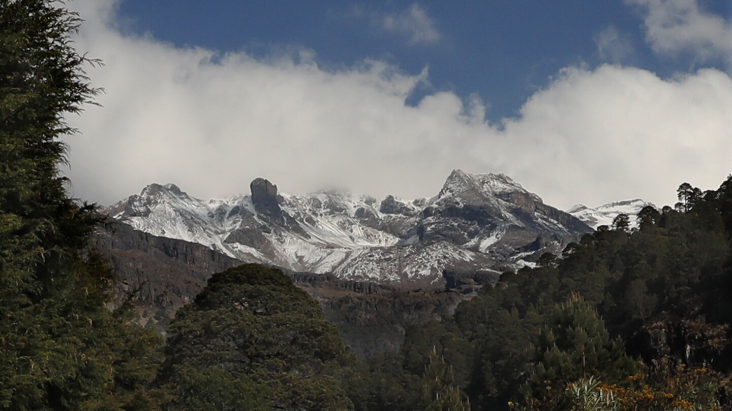 Suspected illegal loggers kill 3 forest rangers on patrol in a forest in central Mexico