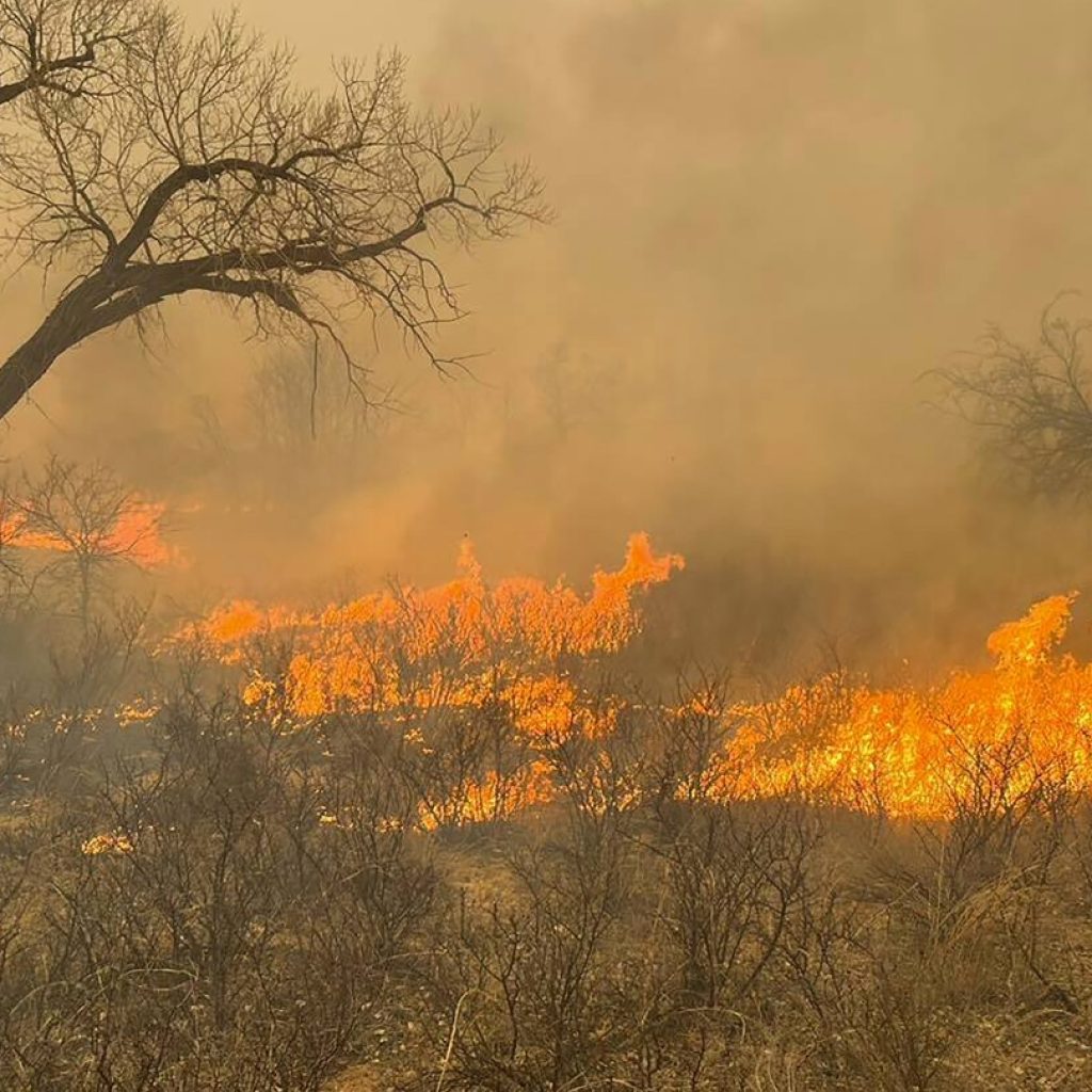 Why did the Texas Panhandle fires grow so fast?