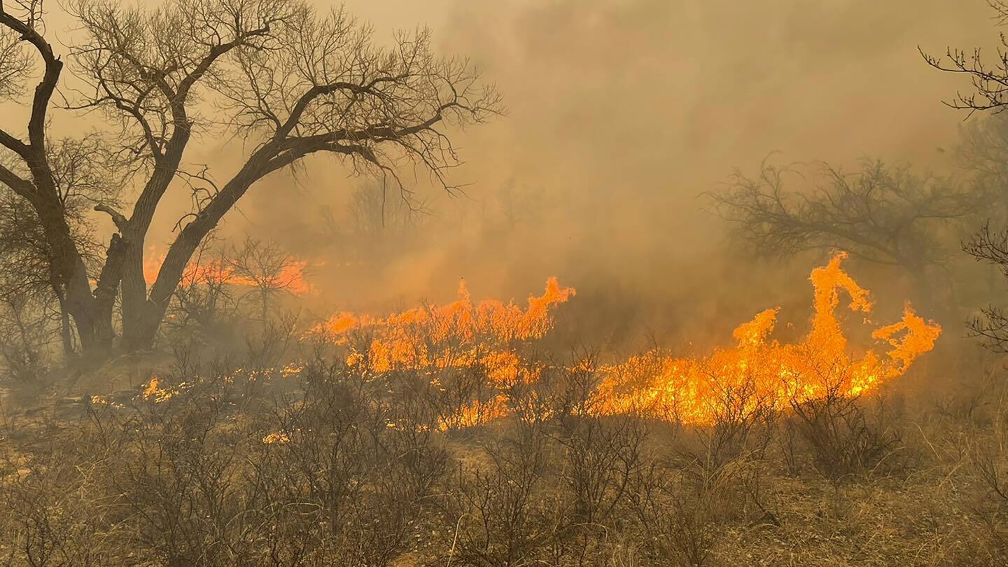 Why did the Texas Panhandle fires grow so fast?