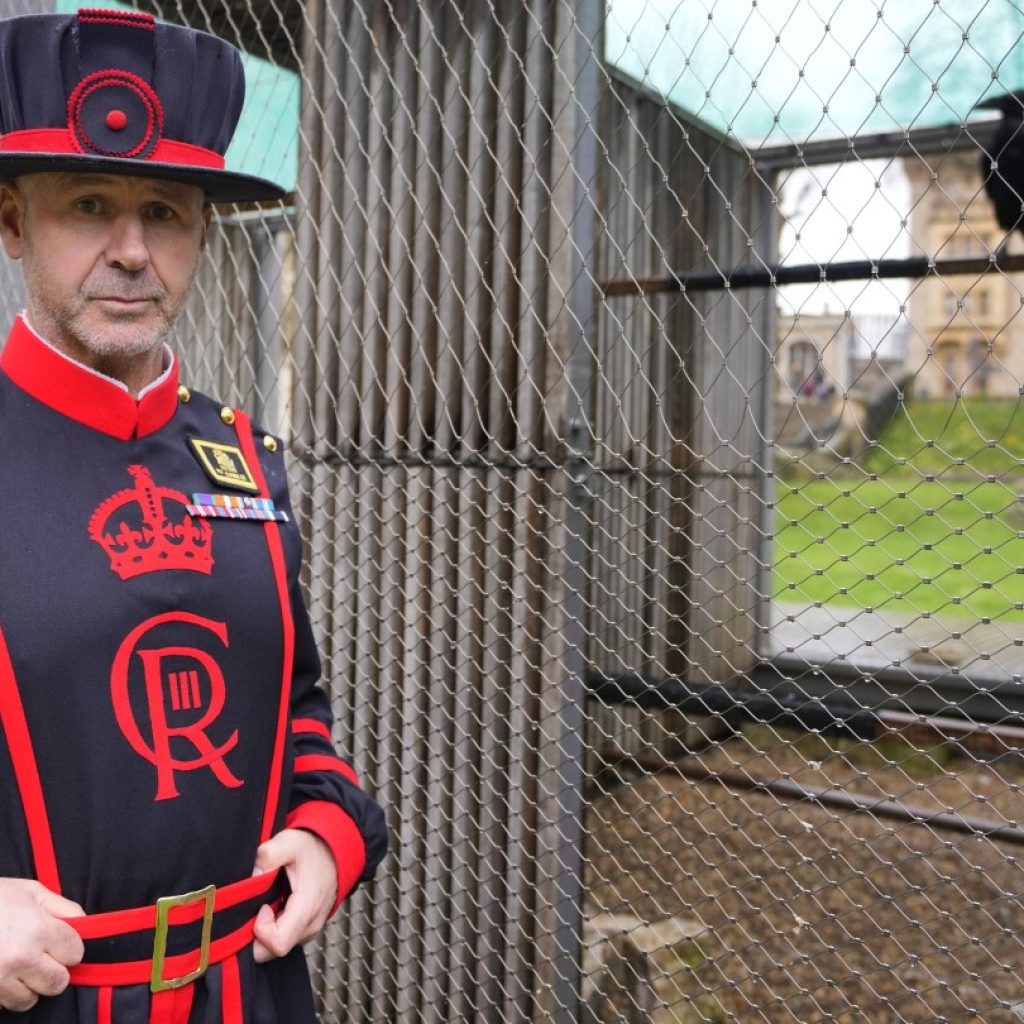 The Tower of London’s new ravenmaster takes charge of the landmark’s iconic flock