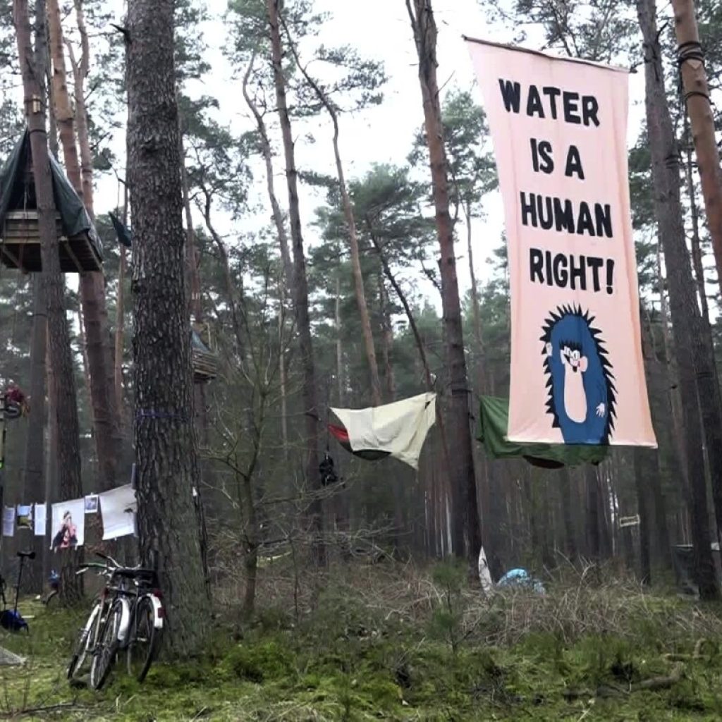 Activists build treehouses to protest Tesla’s plans to expand its plant near Berlin