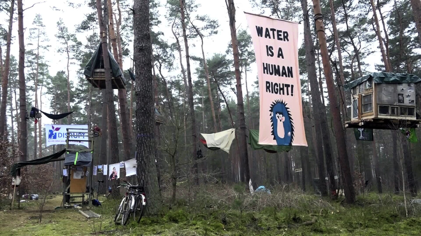 Activists build treehouses to protest Tesla’s plans to expand its plant near Berlin