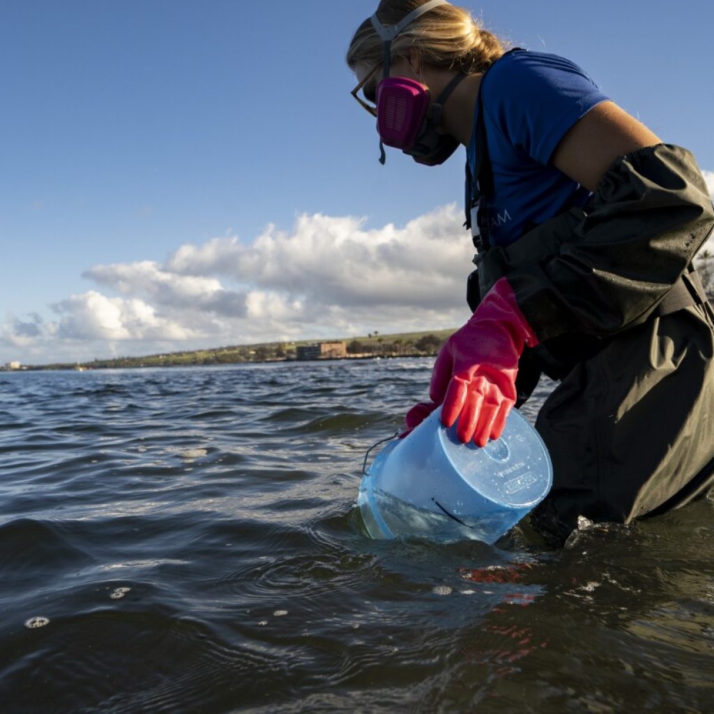 In Hawaii, coral is the foundation of life. What happened to it after the Lahaina wildfire?