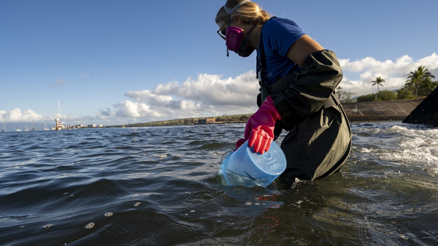 In Hawaii, coral is the foundation of life. What happened to it after the Lahaina wildfire?