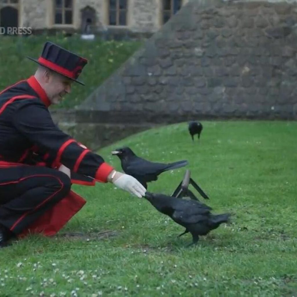 Meet the tower of London’s new raven master | AP News