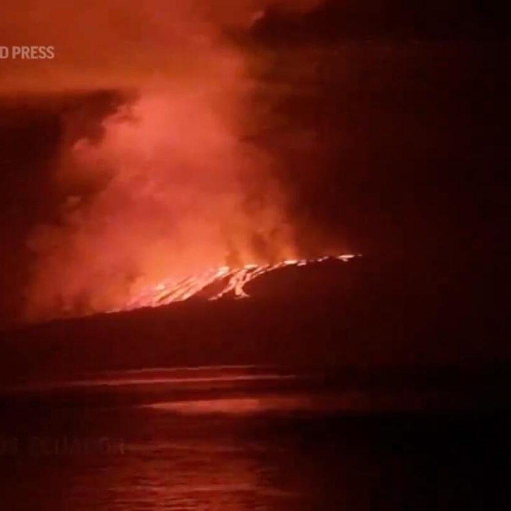 New eruption of La Cumbre volcano in Ecuador’s Galapagos | AP News