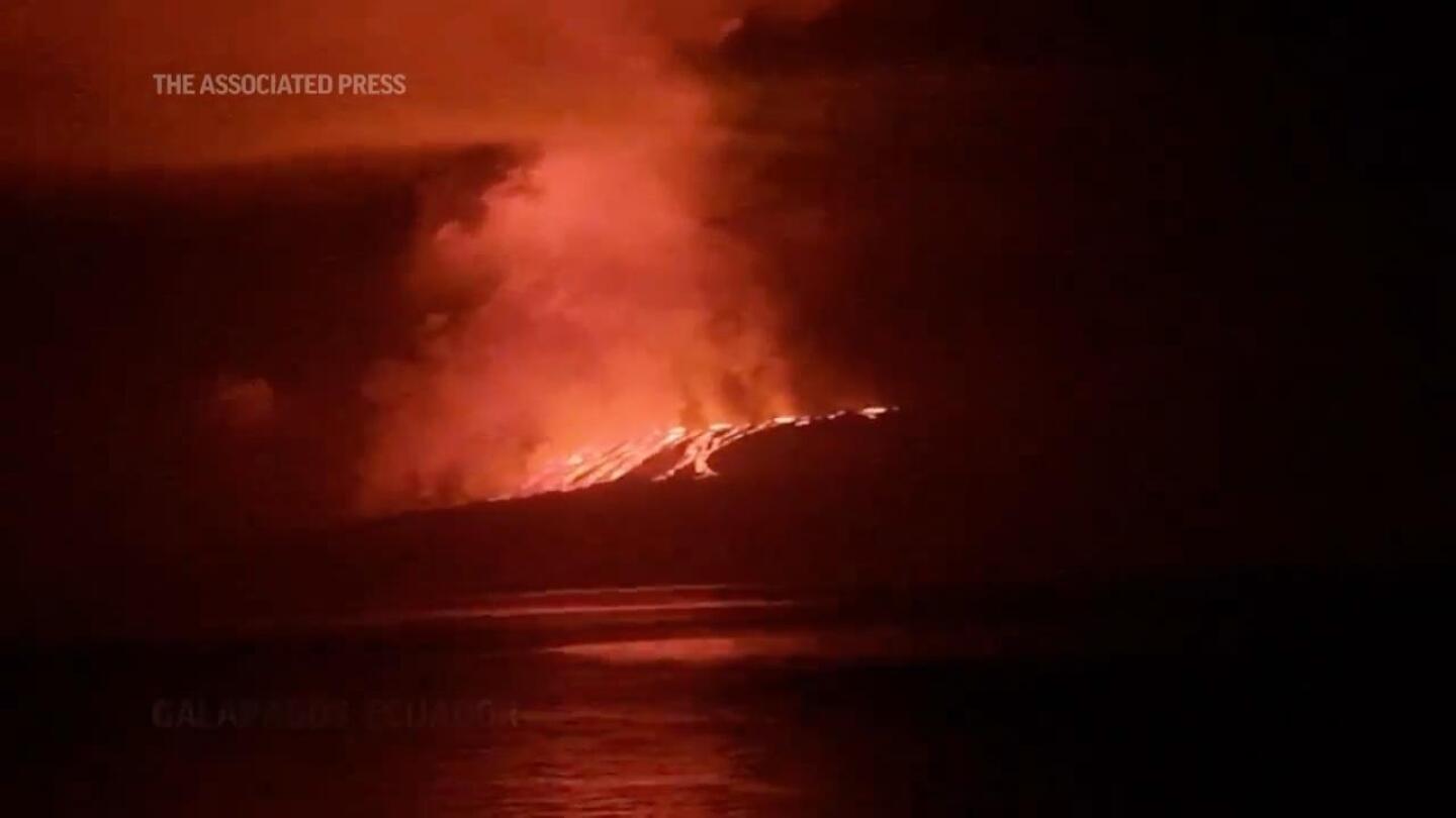 New eruption of La Cumbre volcano in Ecuador’s Galapagos | AP News