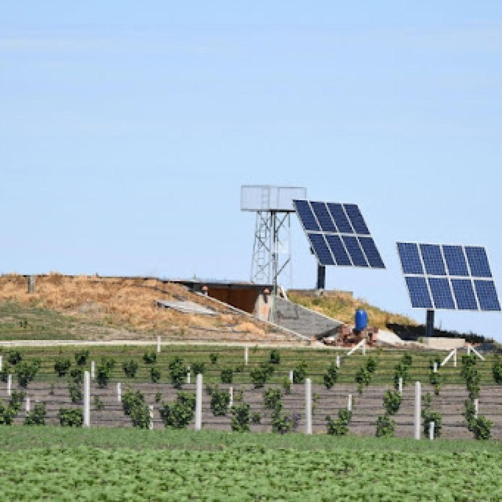 U blizini Zrenjanina biće izgrađen solarni park