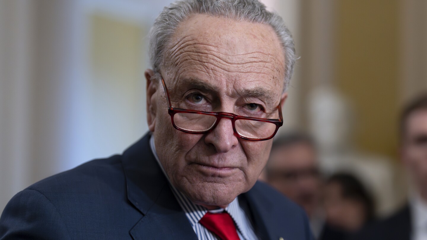 Top Democrat Schumer calls for new elections in Israel, saying Netanyahu has ‘lost his way’