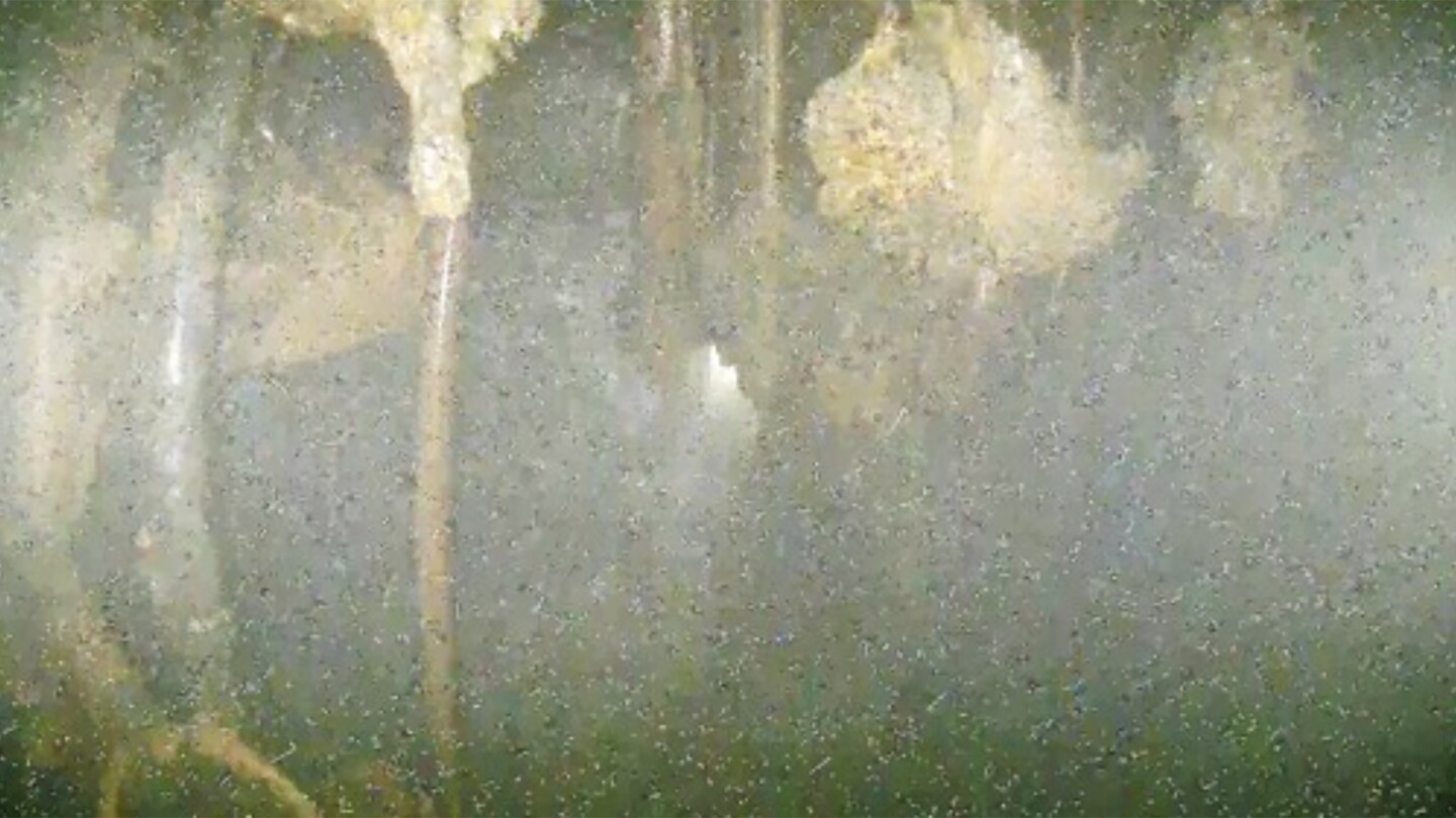 Images taken deep inside melted Fukushima reactor show damage, but leave many questions unanswered