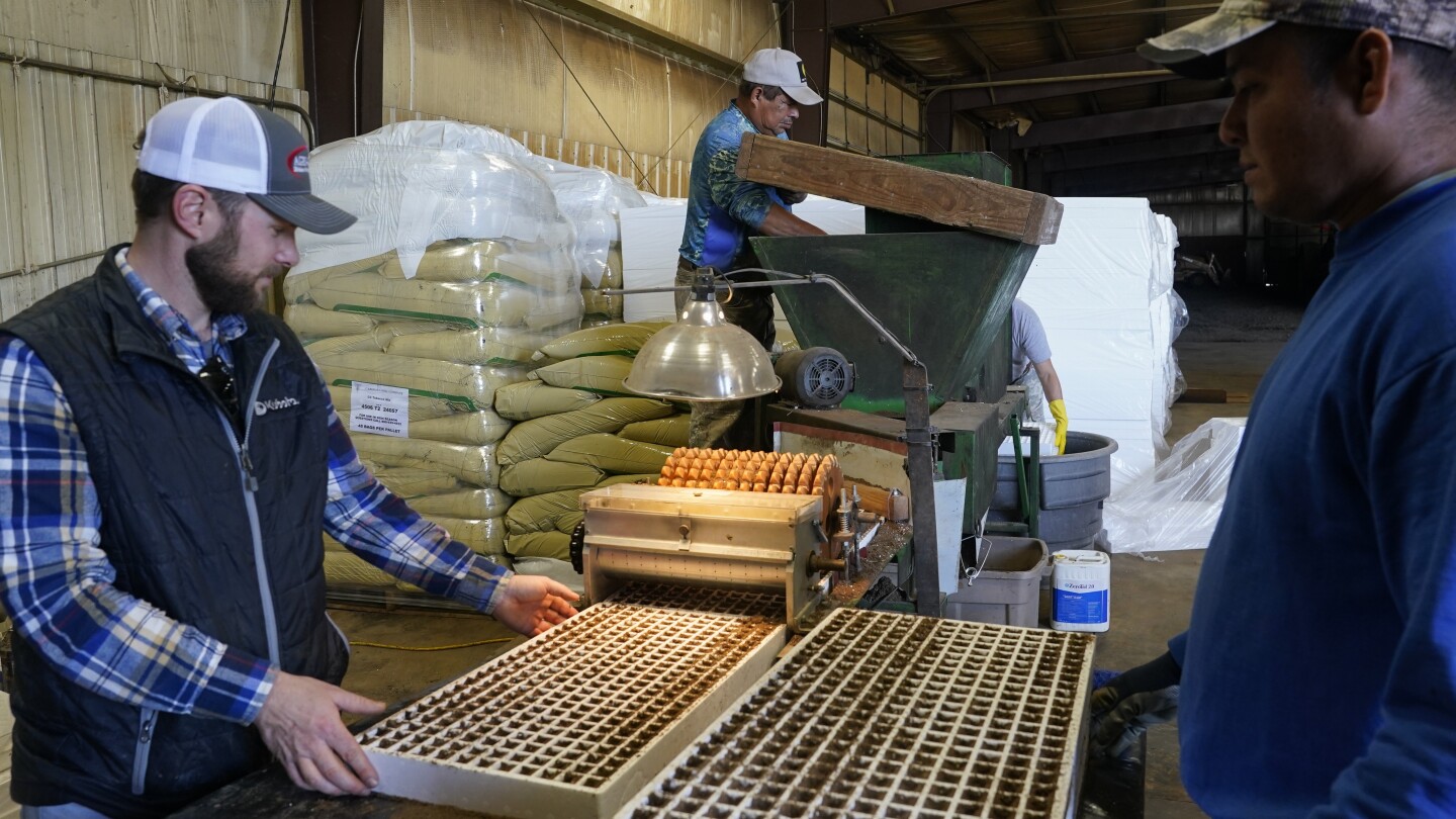 US farms are increasingly reliant on contract workers who are acutely exposed to climate extremes