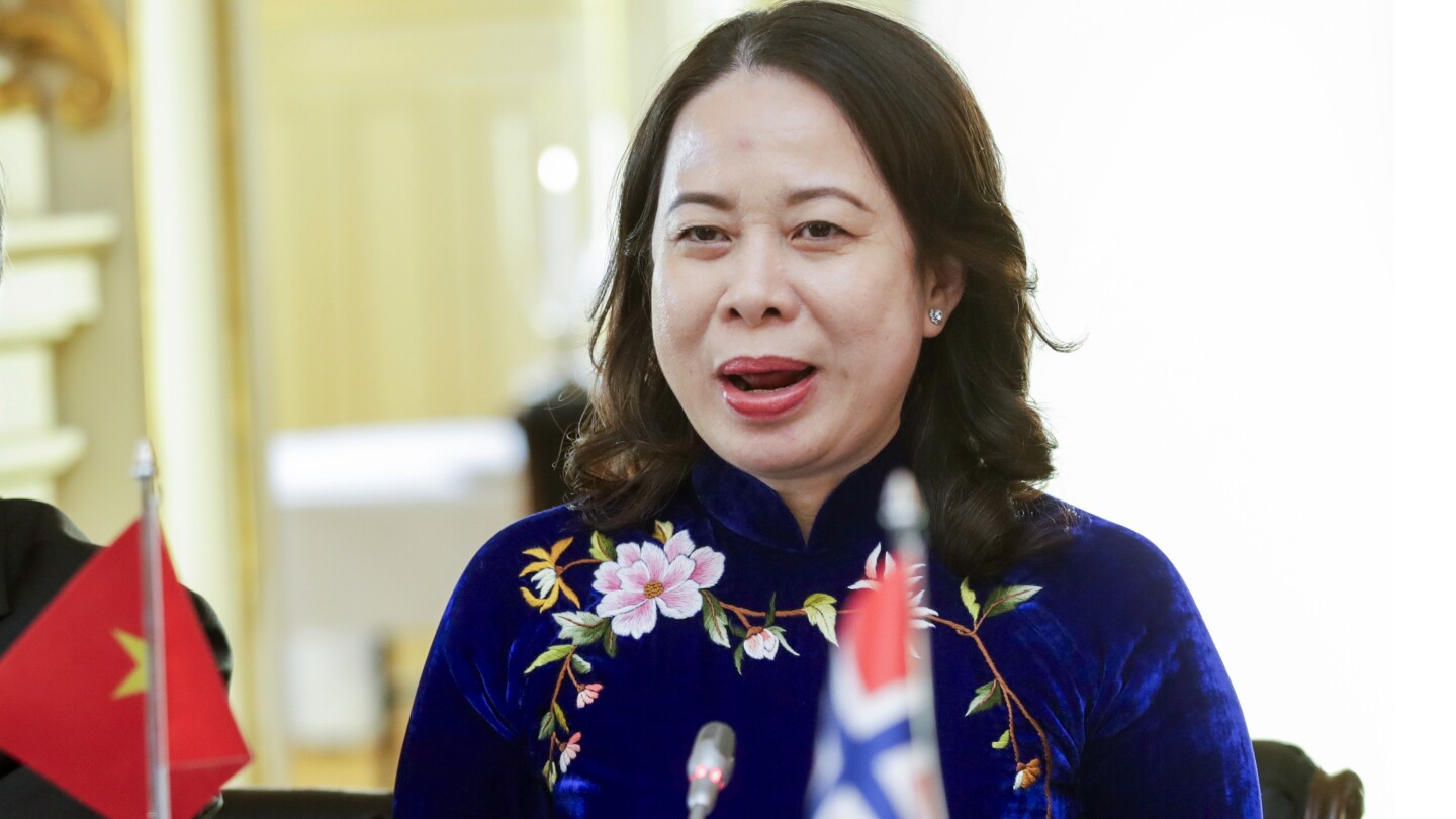 Vietnam’s vice president becomes interim president