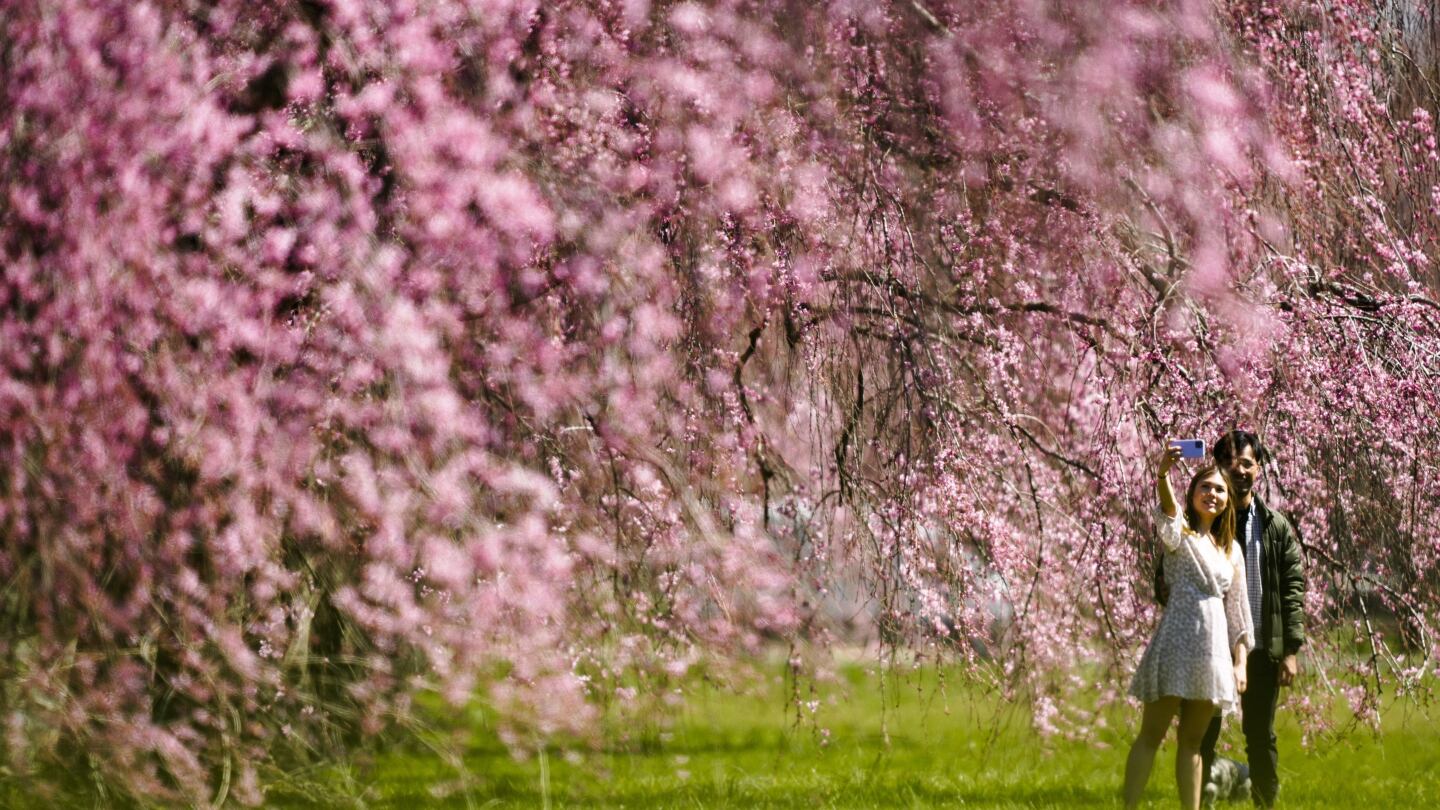 The US may catch a spring break on weather. Forecasters see minimal flooding and drought for spring