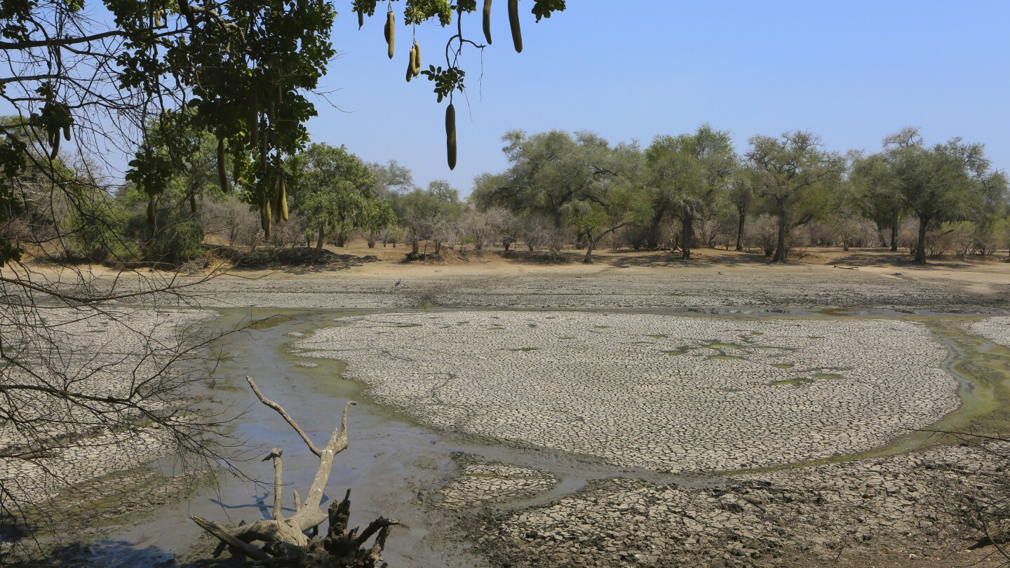 Malawi follows Zambia in declaring drought disaster as El Niño brings hunger to southern Africa