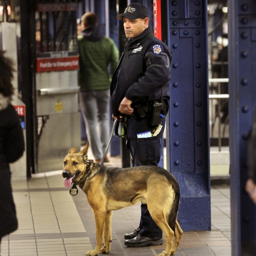 New York City to send 800 more officers to police subway fare-beating