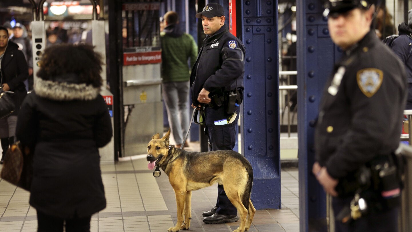 New York City to send 800 more officers to police subway fare-beating