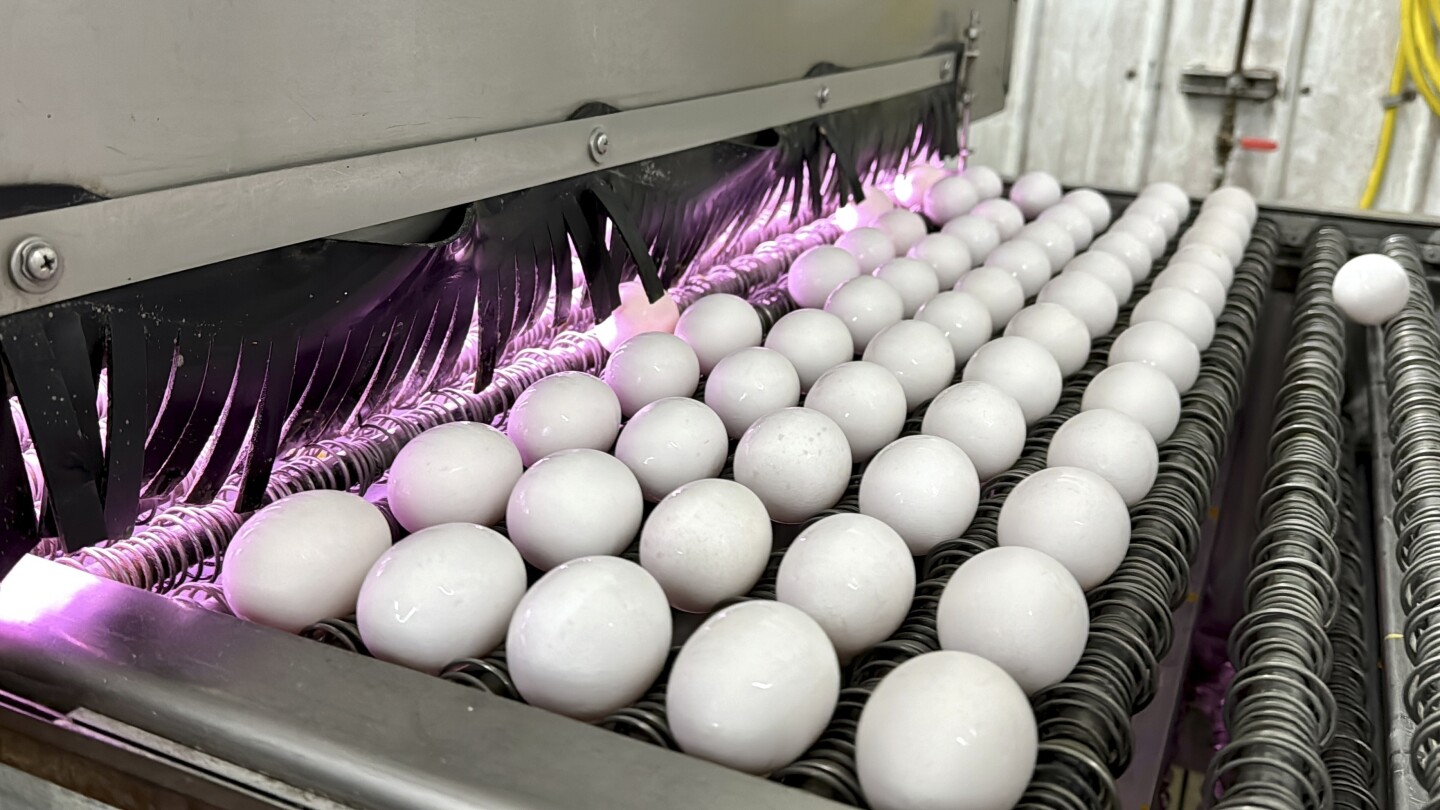Bird flu, weather and inflation conspire to keep egg prices near historic highs for Easter
