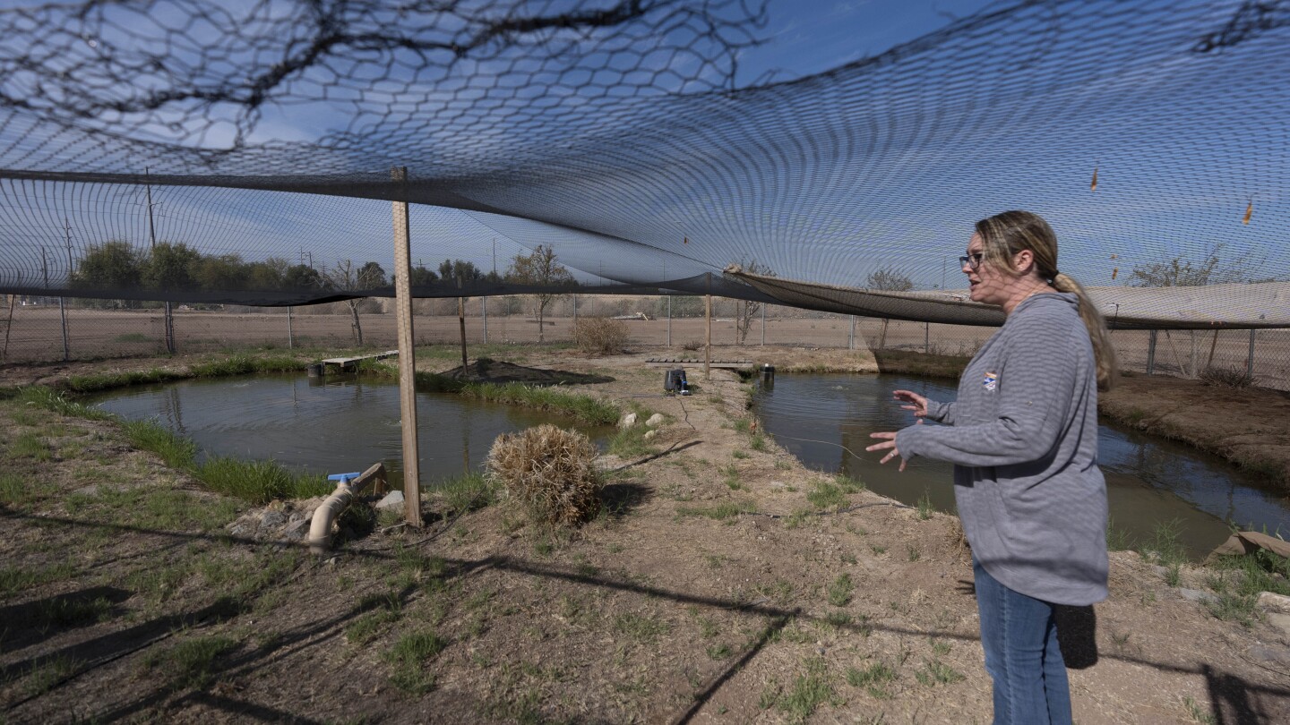 Tiny, endangered fish hinders California River water conservation plan