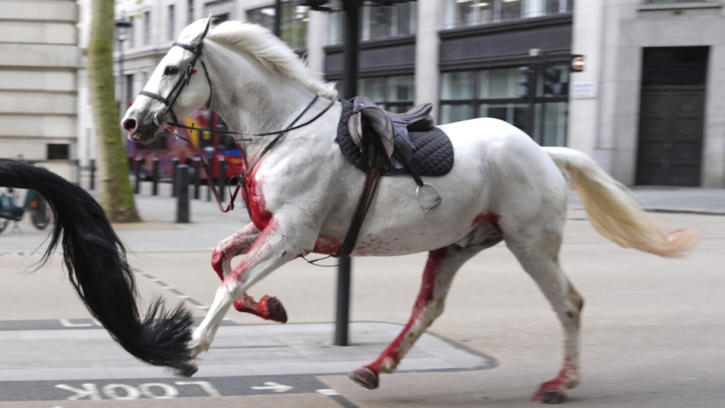 Military horses that broke free in London in serious condition