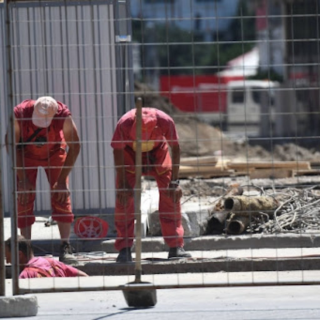 Selaković: Smanjen broj smrtnih povreda na radu