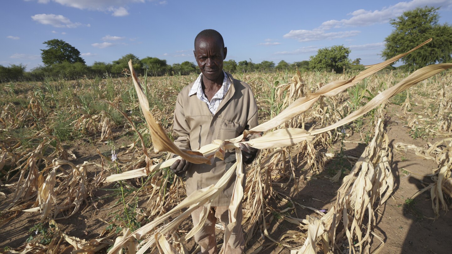 Rewind. Fast forward. African farmers are looking everywhere to navigate climate change