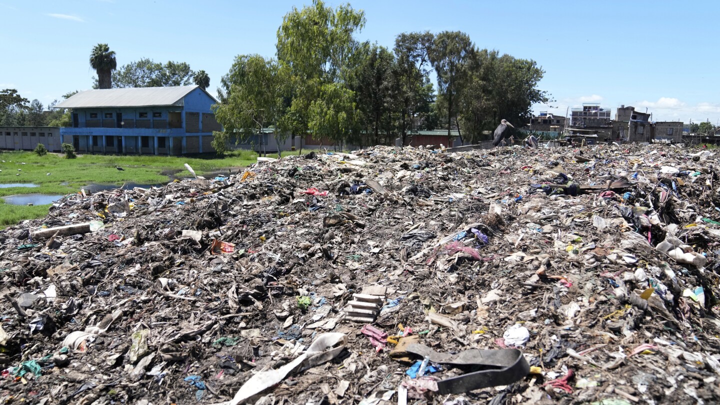 They study next to one of Africa’s largest trash dumps. They’re planting bamboo to try to cope