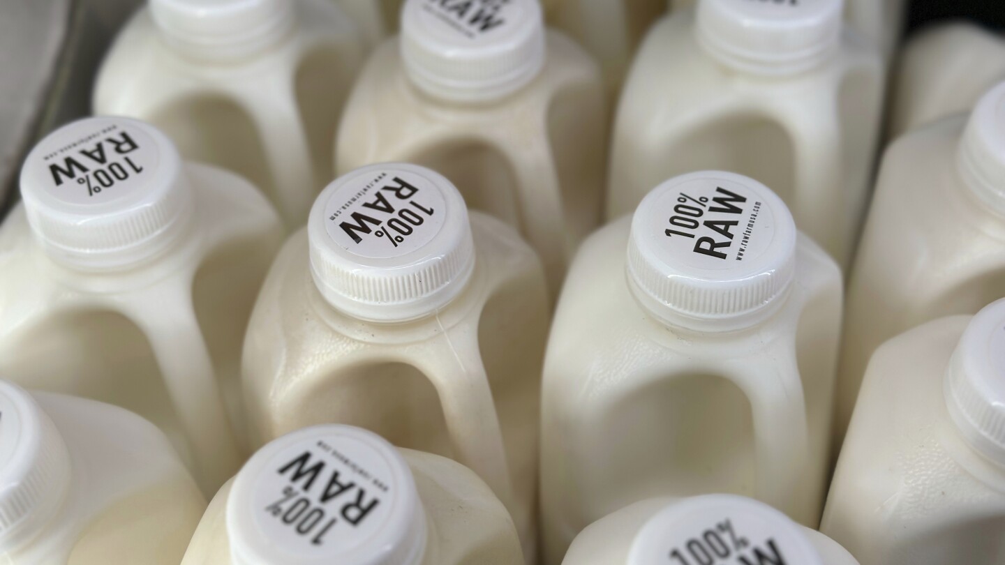 There’s bird flu in US dairy cows. Raw milk drinkers aren’t deterred