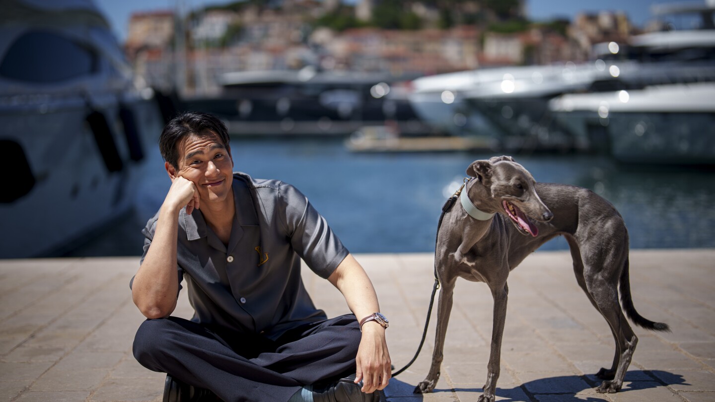 The real stars of Cannes may be the dogs