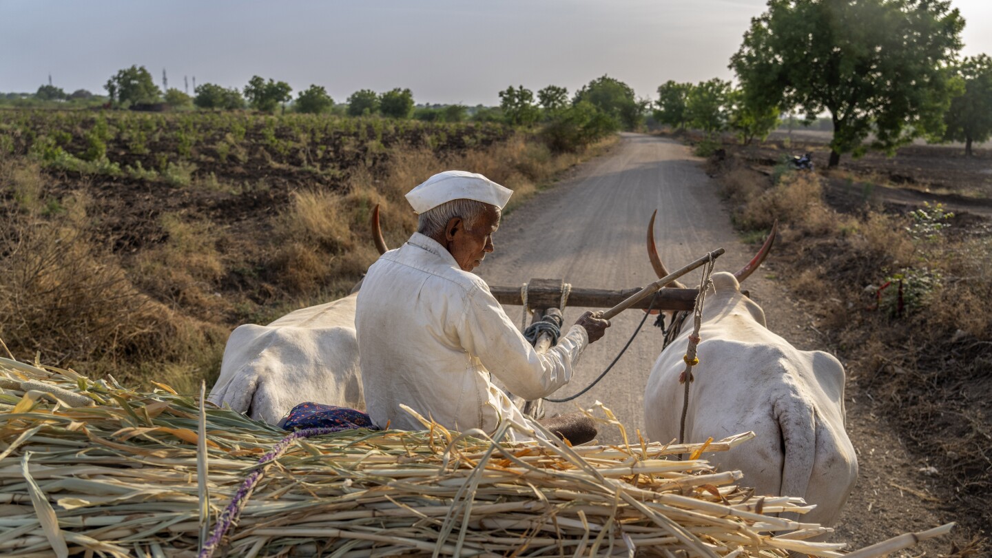 Farmers in India are weary of politicians’ lackluster response to their climate-driven water crisis