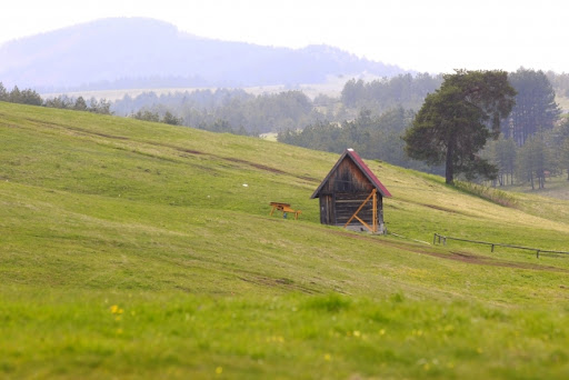 WWF Adria: Srbija je danas potrošila svoje prirodne zalihe za ovu godinu