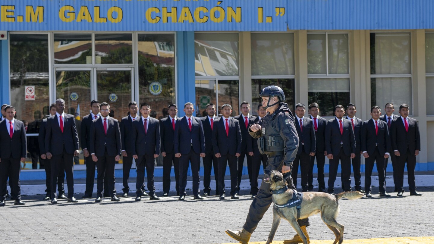5 dogs with military intelligence unit in violence-plagued Ecuador given medals for service