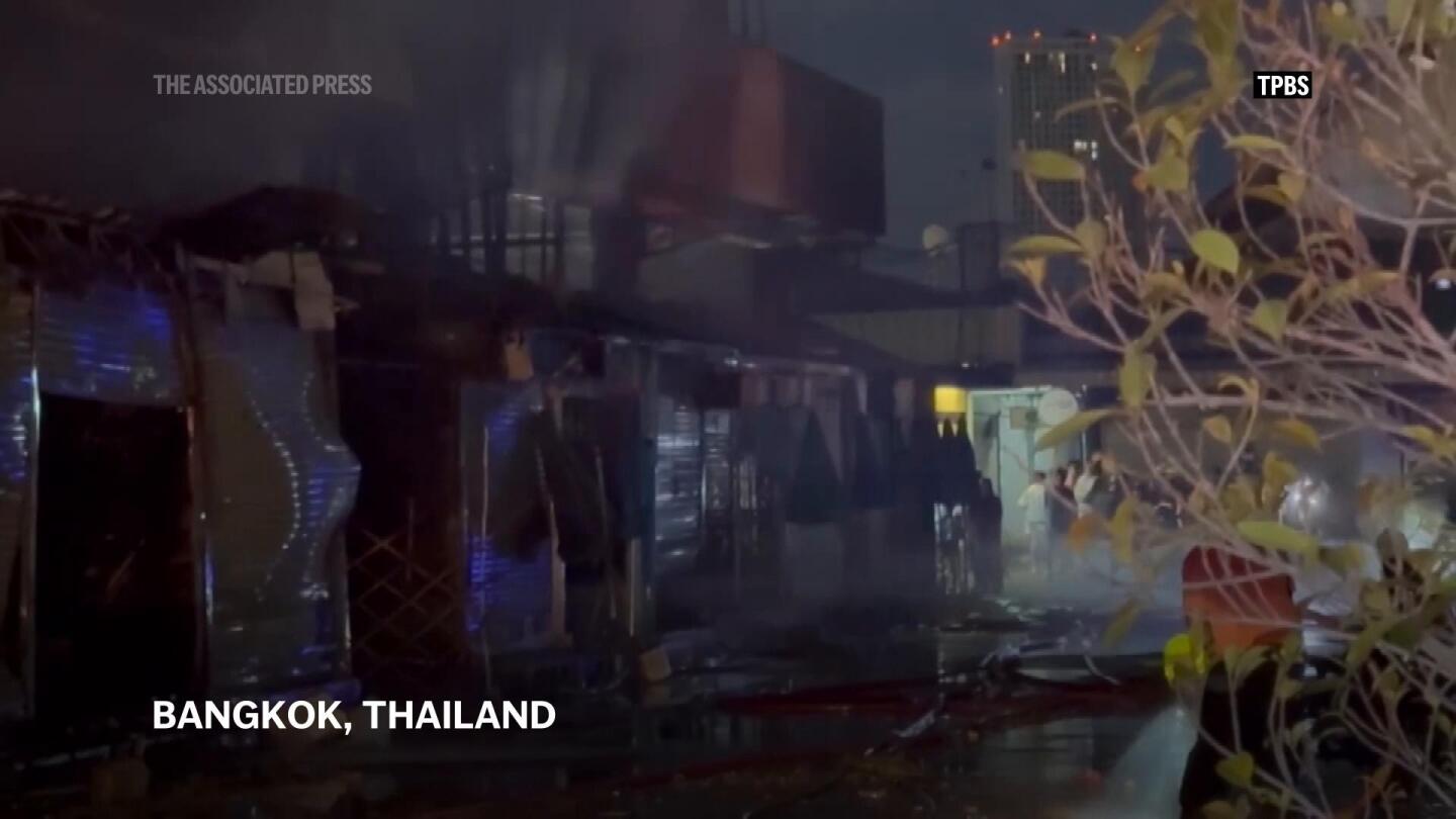 Fire kills hundreds of animals at famous Thai market | AP News