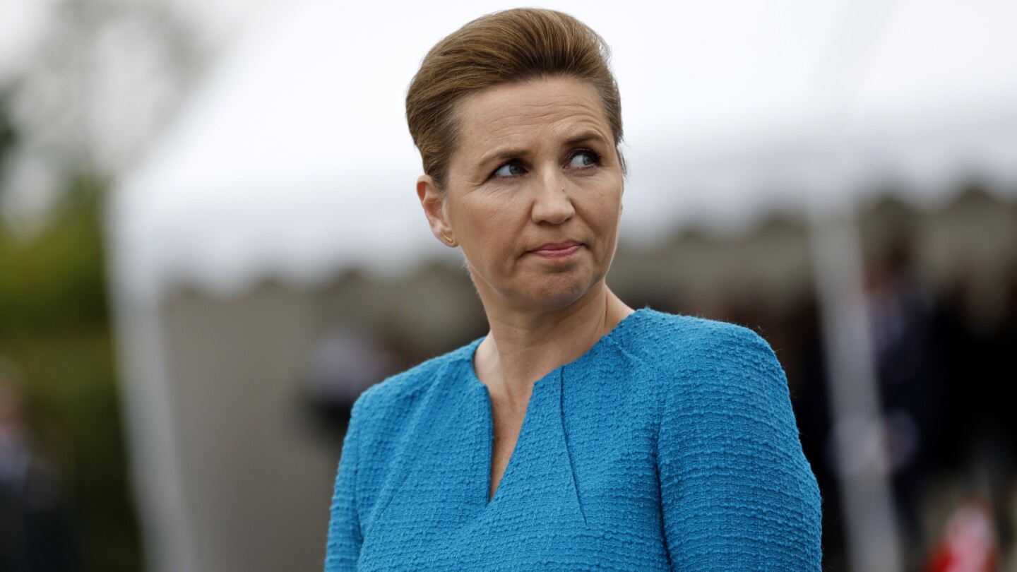 ‘I am not quite myself,’ Danish PM in first TV interview since assault that gave her whiplash