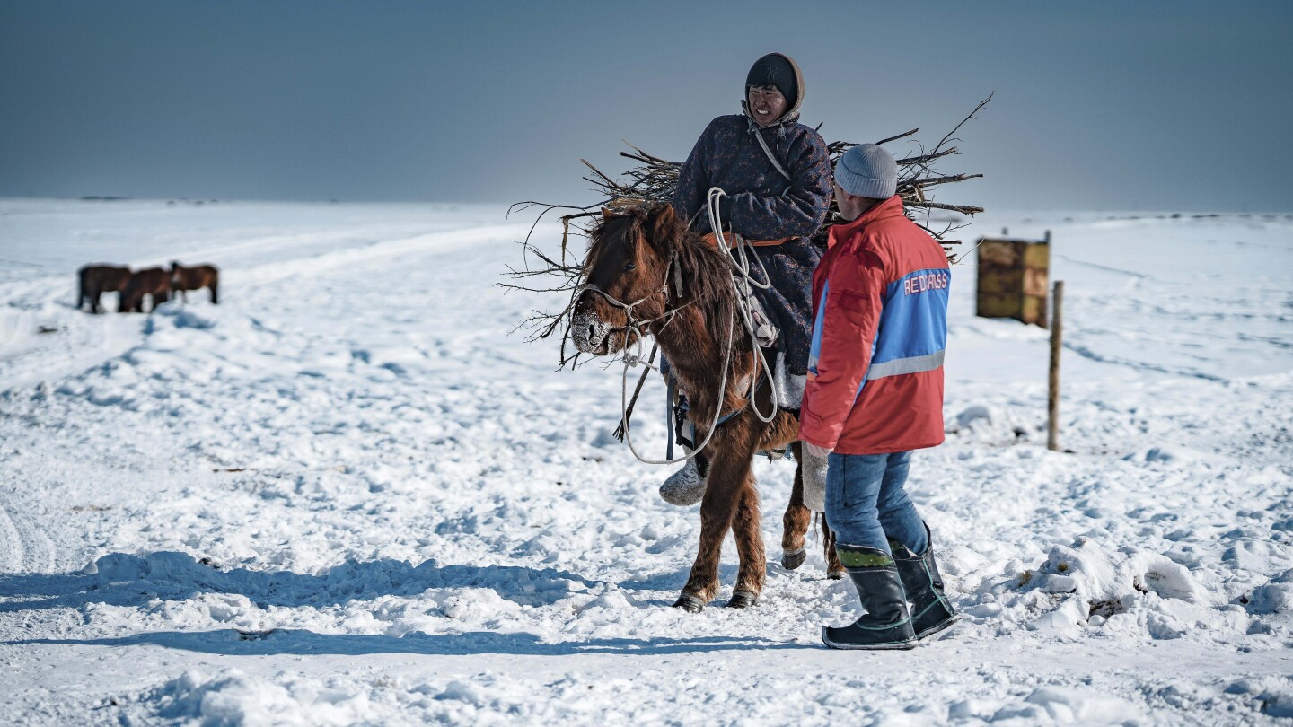 Heavy snows and drought of deadly ‘dzud’ kill more than 7 million head of livestock in Mongolia