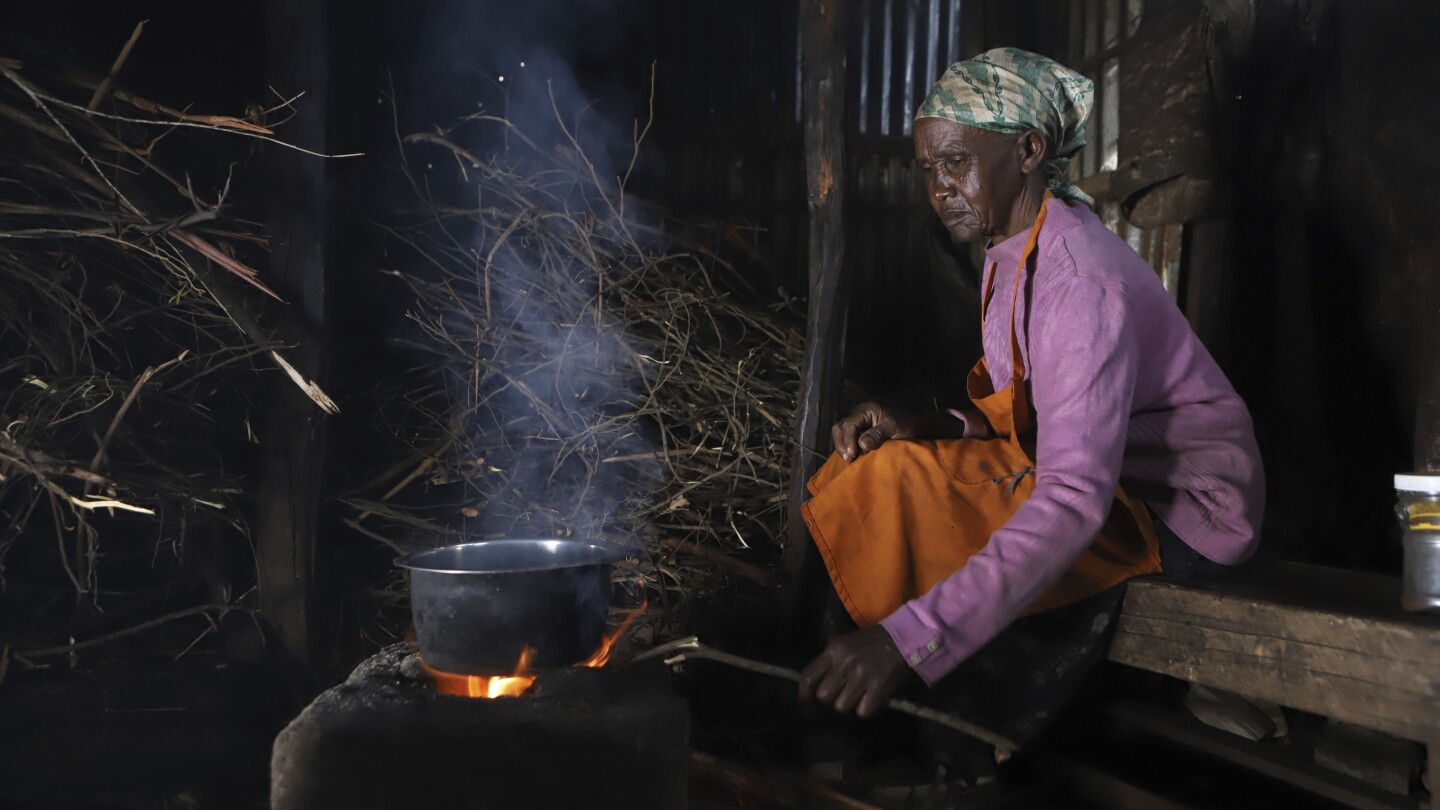 Cooking and coughing: Respiratory diseases plague Kenya as more people burn wood to save money