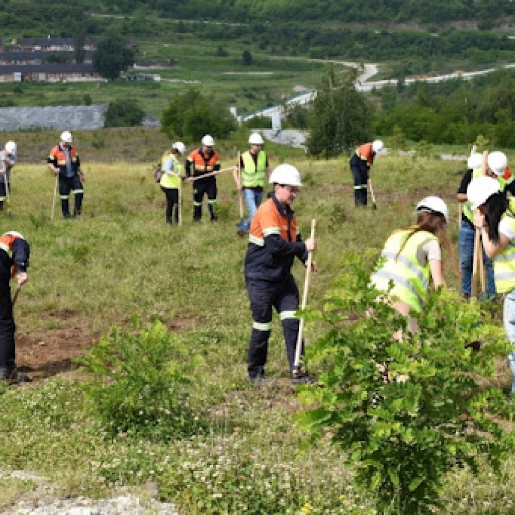 Pašalić: Osnivanje ‘Beogradske platforme’, bio bi odgovor na izazove u zaštiti životne sredine